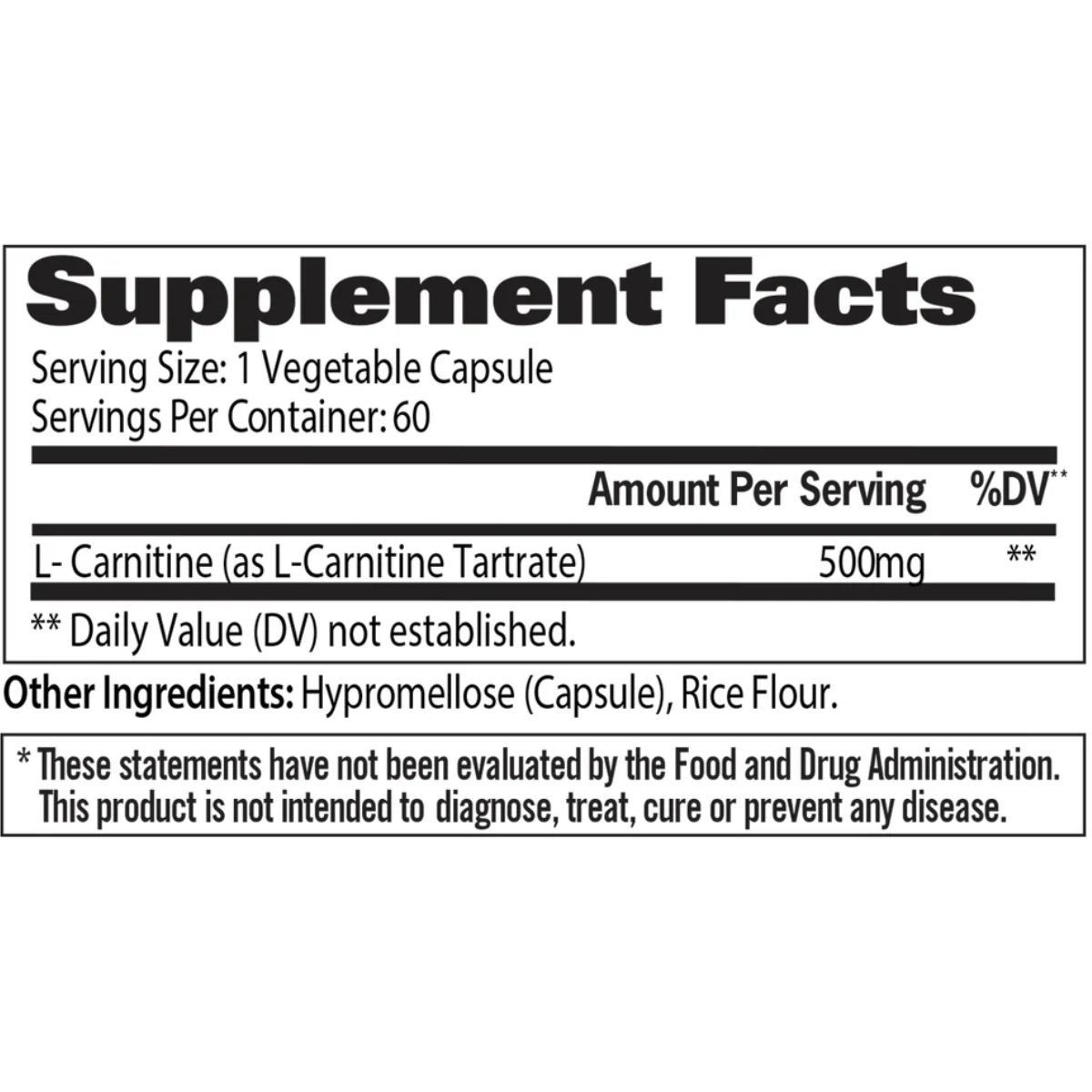 carnitina gat 1 - copia