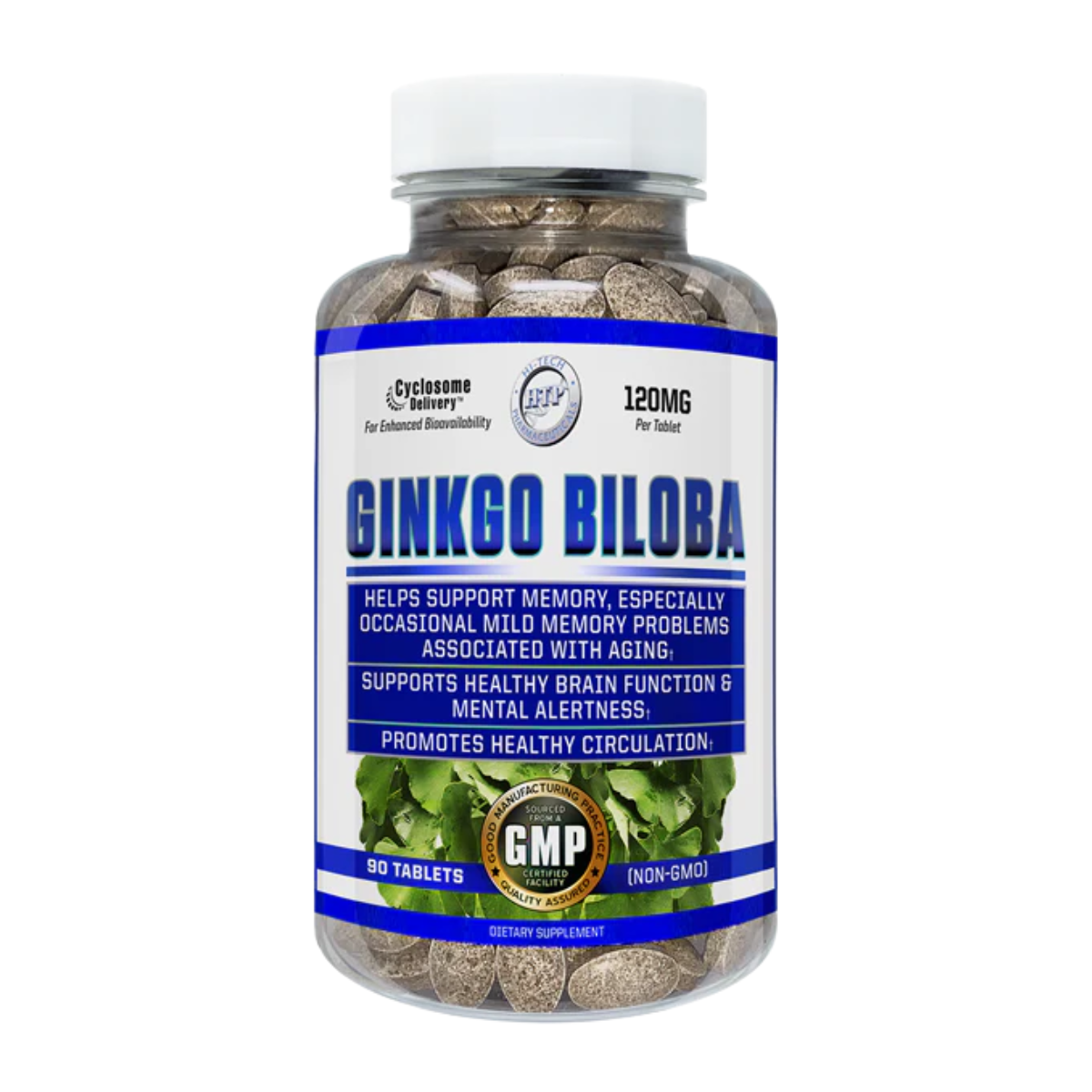 ginkgo biloba